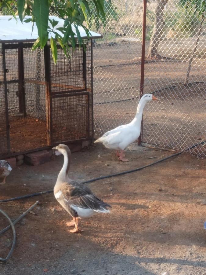 BimalFarm at Koroli Hills Villa Igatpuri Bagian luar foto